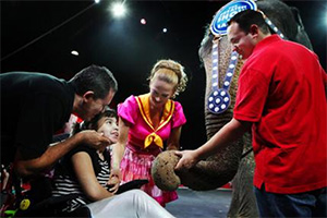 At center, Marcela Escobar 12, her father Hermes Escobar left, as she pets an Asian elephant.