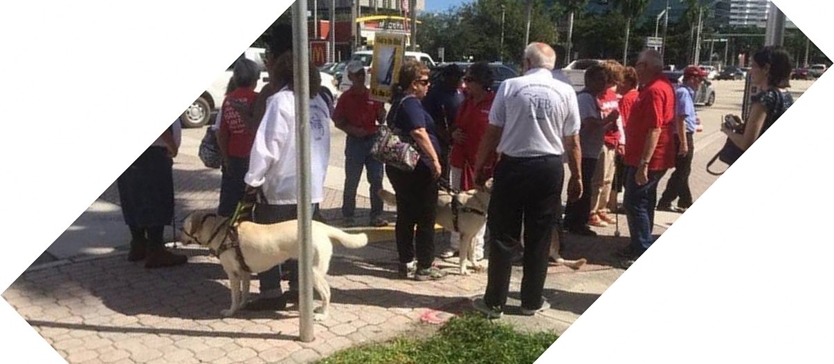 White Cane Safety Day participants and guide dogs standing on a sidewalk
