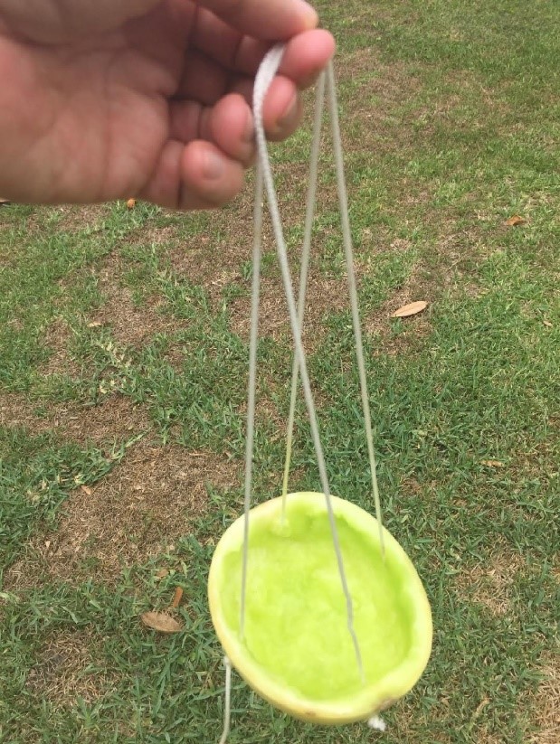 Loops of yarn hanging over a finger and supporting a citrus cup rind.